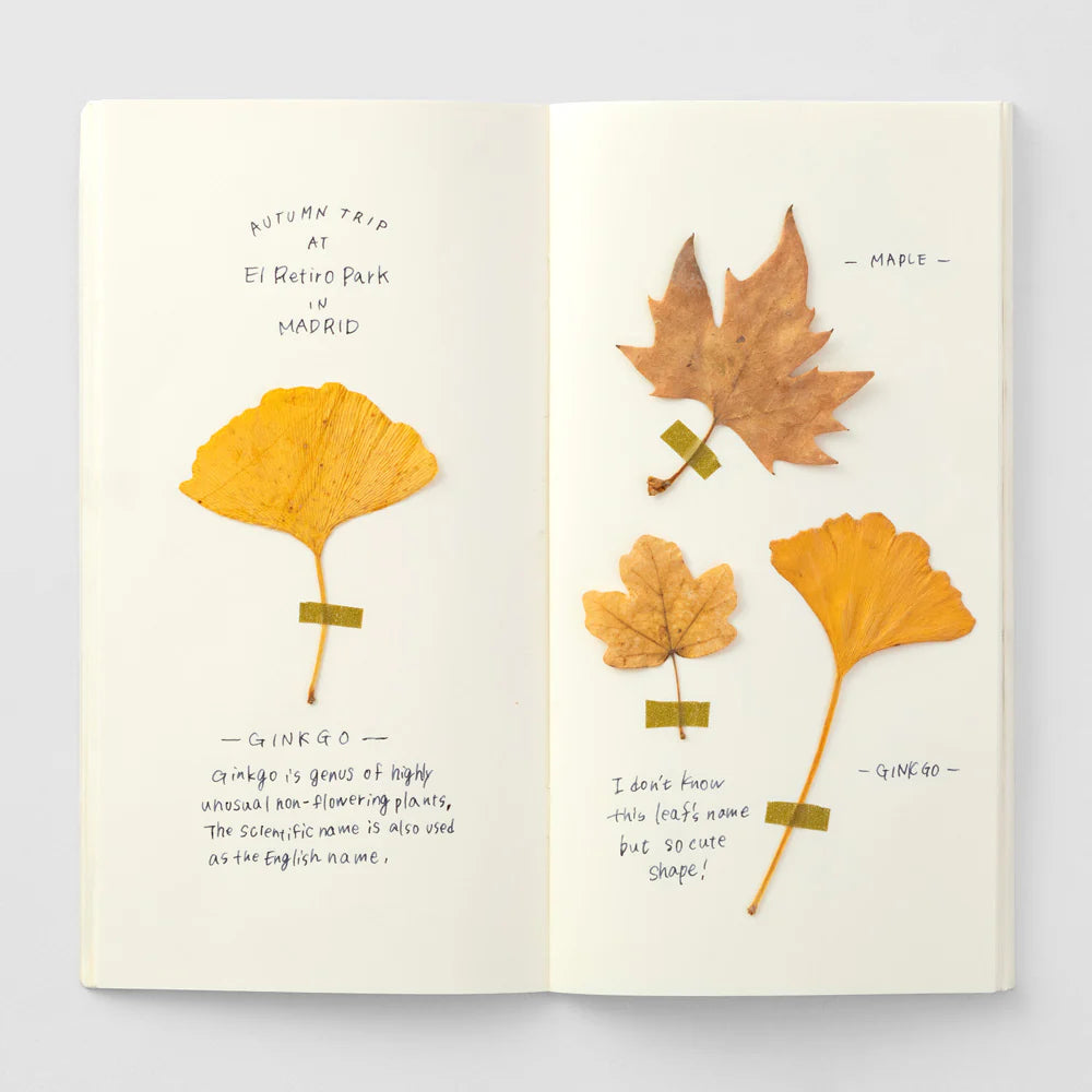 025 MD Paper Cream Refill