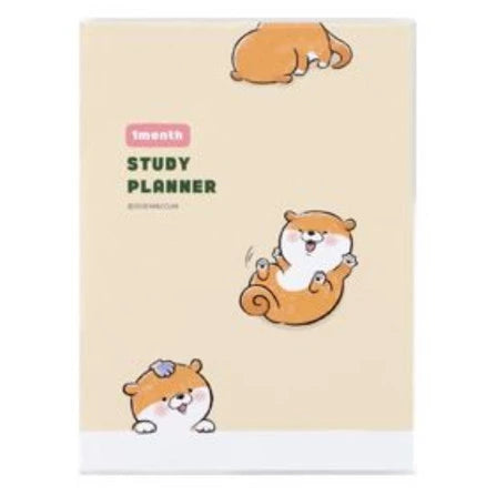 Study Planner for 30 days / Paper