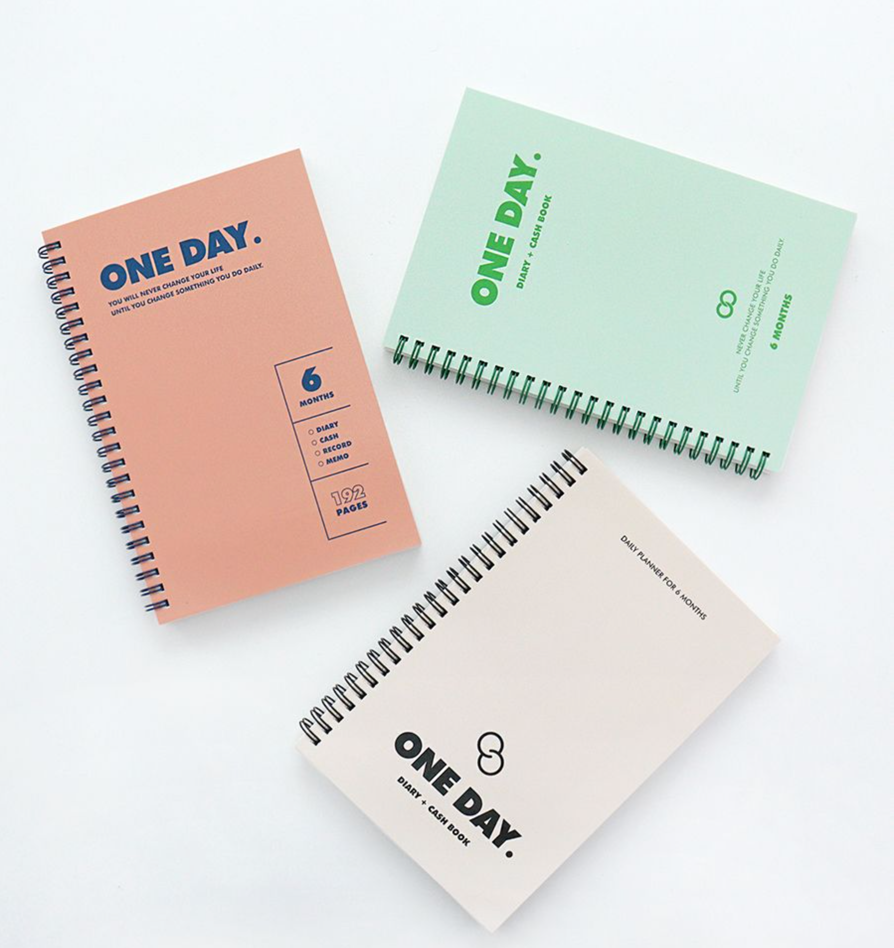 One Day Diary + Cash Book for 6 Months