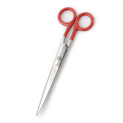 Stainless Steel Scissor